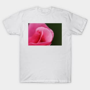 Pink Rose Close-up T-Shirt